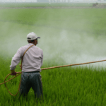 The Comprehensive Guide to Pesticides: 10 Types and Their Utilization